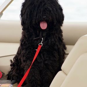 Meet your Posher, Laura